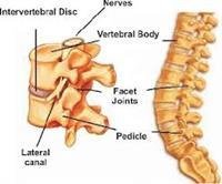 Spine surgery at King Saud University attracting