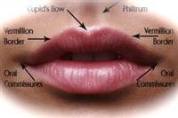 Lip injections
