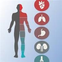 What's an "Internist"?