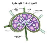 Lymph node biopsy