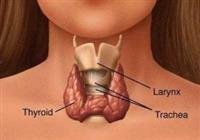 Thyroid Surgery And Voice Outcomes