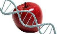 How to Prevent Hereditary Diseases