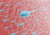 Male infertility linked to increased mortality