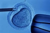 In-Vitro Fertilization