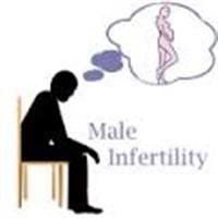 Male Fertility Issues