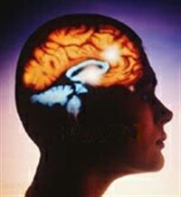Liquid Medical Marijuana Shows Promise Against Sev
