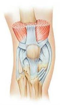 Partial knee replacement