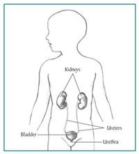 Kidney Disease in Children