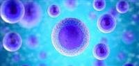 Epilepsy Drugs to Treat Seizures