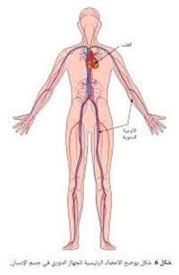 The conclusion of the activities of "fat injection
