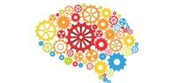 Marijuana and Your Memory