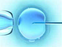Women using IVF