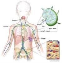 Child Cancer Treatment May Up Heart Disease Risk
