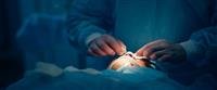 Preparing for plastic surgery: the most