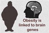 Obesity: When Is It Genetic?