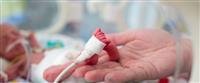 What are the risks to children?