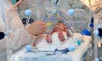 IVF