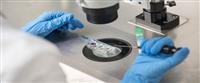 Embryo quality scores