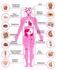 The Effects of Epilepsy on the Body