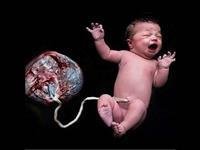Placenta benefits