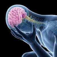 Depression, the  Thyroid, and Hormones