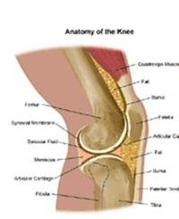 Knee Replacement Surgery Procedure
