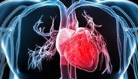 6 global centers adopt the "Dubai Health"