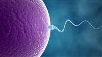 What causes infertility?