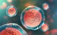 Benefits of stem cells