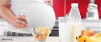 Stem Cells From Fat Might Improve Plastic Surgery