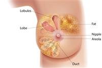 His Highness the Crown Prince praises