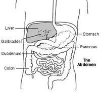 What is an ERCP?