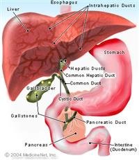 ERCP facts