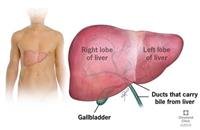 Liver transplant and what to expect?