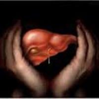 Living liver donors report lower sexual function