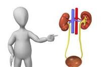 Urinary tract infections in children