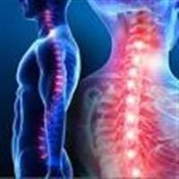Spine, Adult Reconstructive Surgery Square Off?