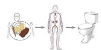 When does kidney failure occur