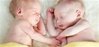 How to get pregnant with twins