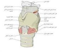 التهاب الحنجرة