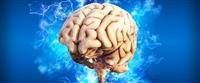 Hydrocephalus: Your comprehensive guide