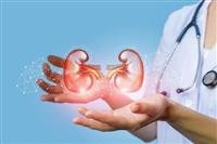 Difference Between Nephrology and Urology
