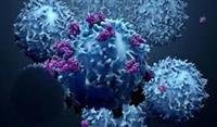 Defenses Against Cancer..