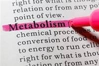 Metabolism and weight loss: How you burn calories