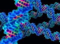 Genetics