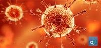 what is a coronavirus. Symptoms and treatment of