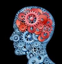 Cracking the code of brain development