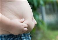 plant-based vegan diet 'may reduce heart disease