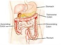 Safety in the gastrointestinal endoscopy unit