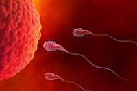 Infertility in men and women